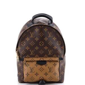 Louis Vuitton Palm Springs Backpack #253752L20B